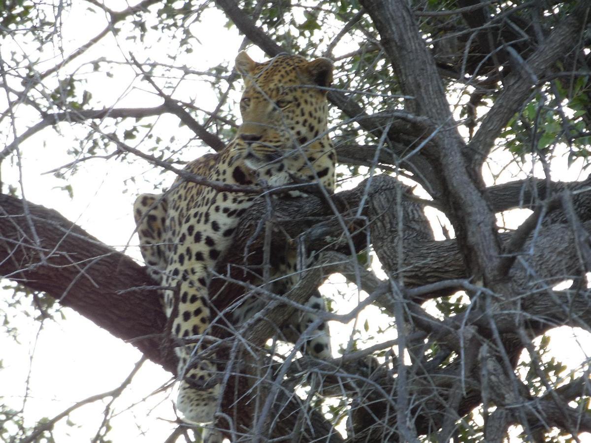 Aloegrove Safari Lodge Otjiwarongo Bagian luar foto