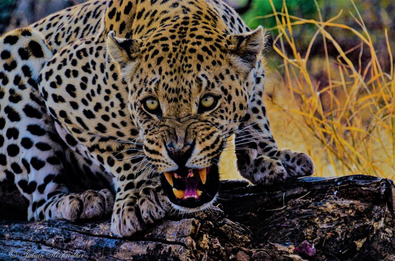 Aloegrove Safari Lodge Otjiwarongo Bagian luar foto