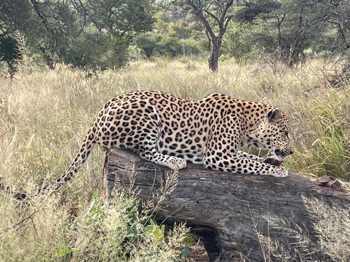 Aloegrove Safari Lodge Otjiwarongo Bagian luar foto