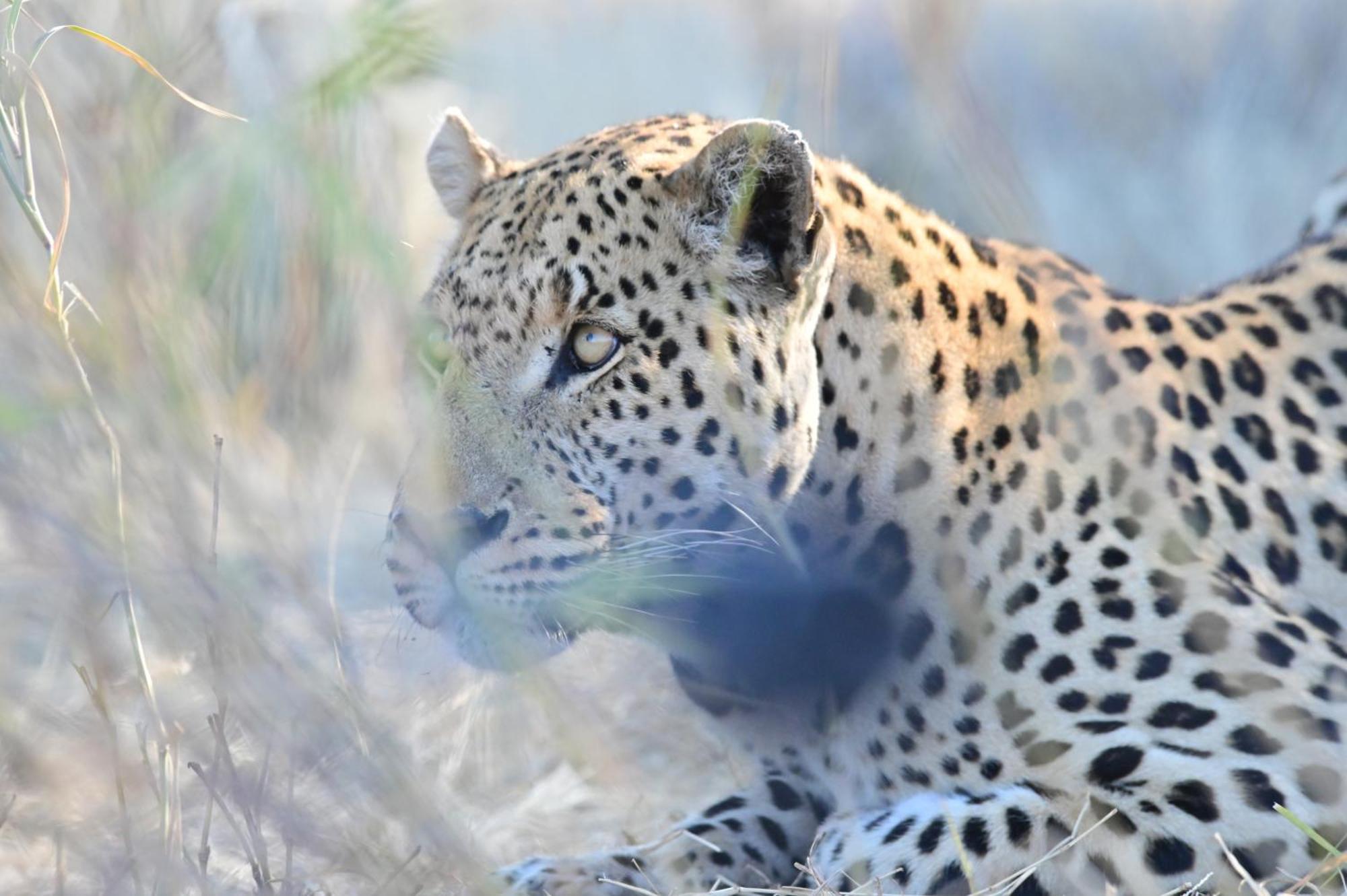 Aloegrove Safari Lodge Otjiwarongo Bagian luar foto
