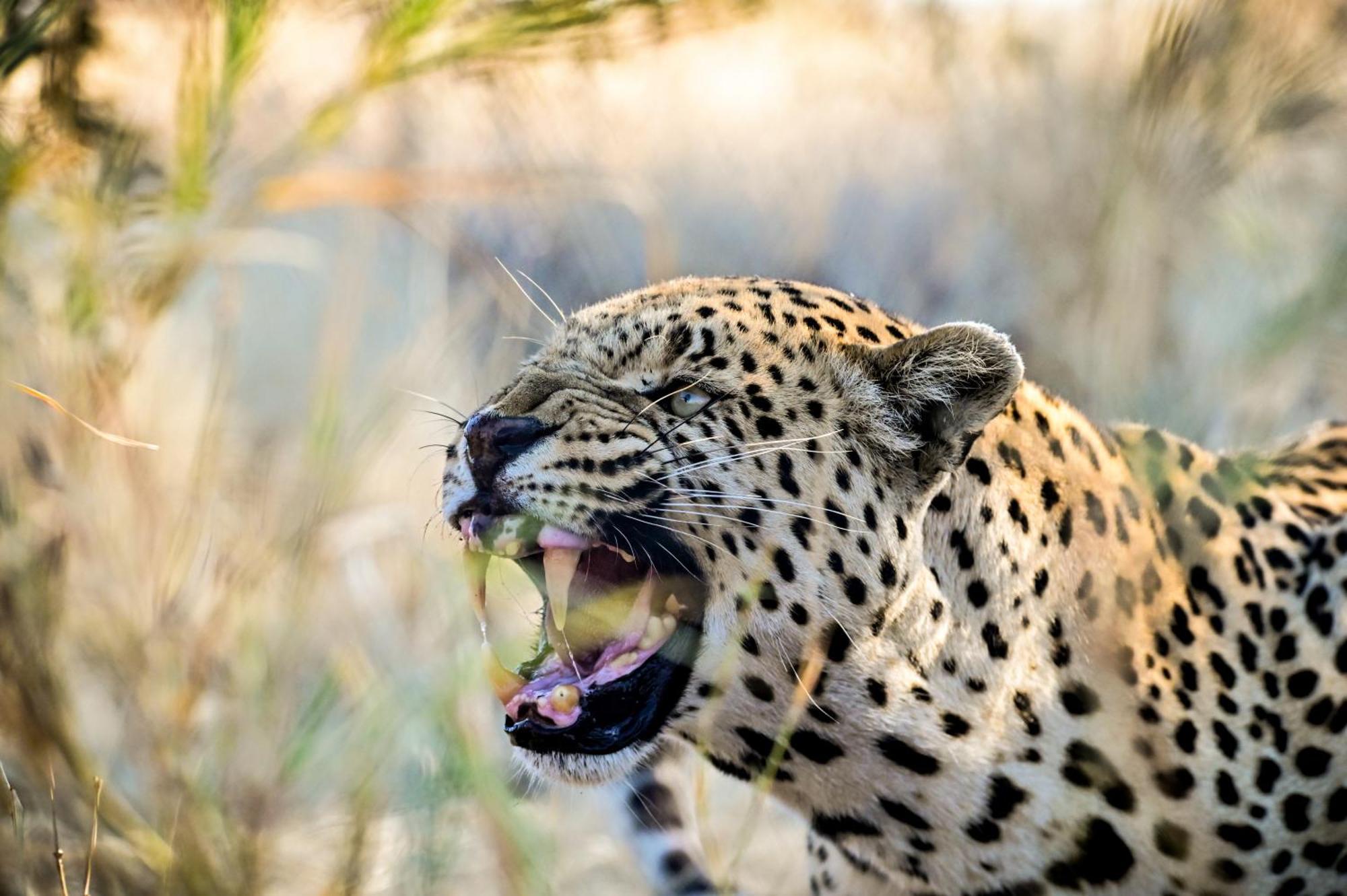 Aloegrove Safari Lodge Otjiwarongo Bagian luar foto