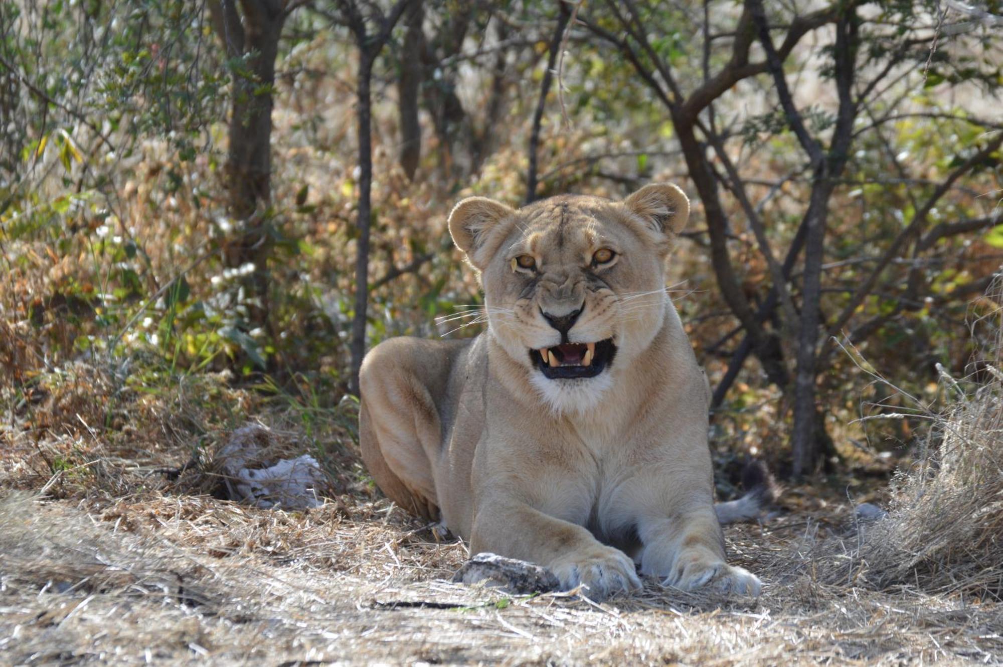Aloegrove Safari Lodge Otjiwarongo Bagian luar foto