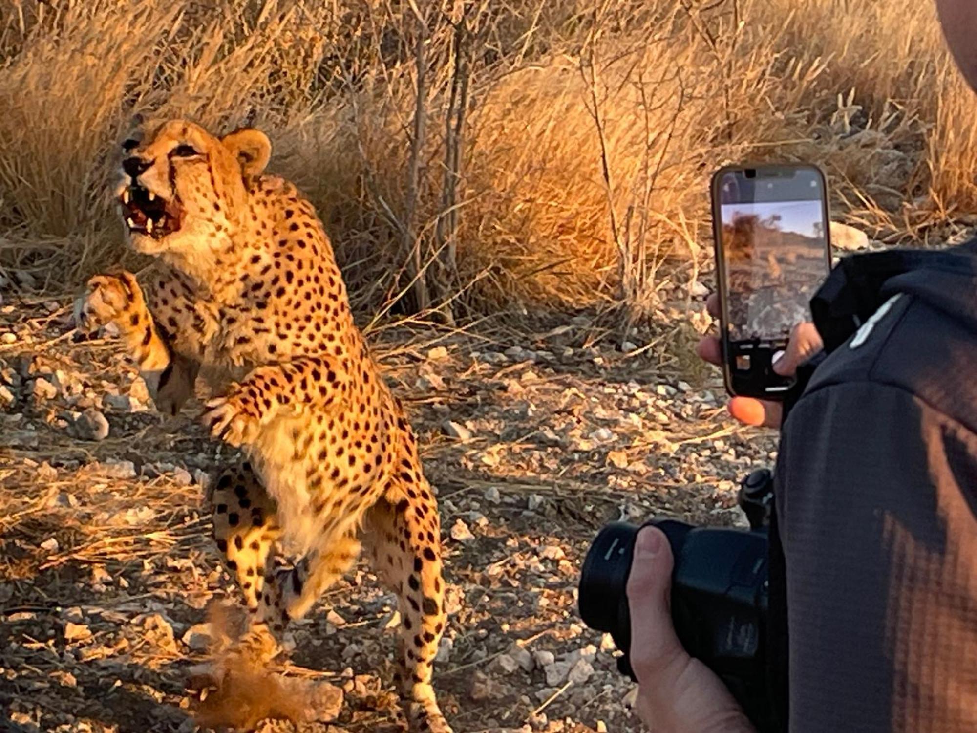 Aloegrove Safari Lodge Otjiwarongo Bagian luar foto