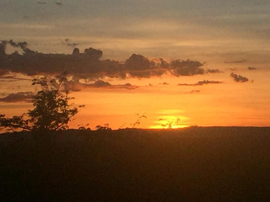 Aloegrove Safari Lodge Otjiwarongo Bagian luar foto