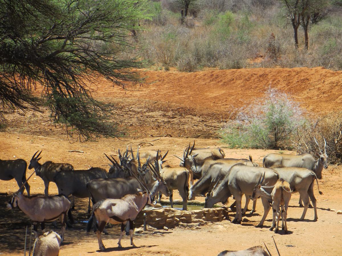 Aloegrove Safari Lodge Otjiwarongo Bagian luar foto